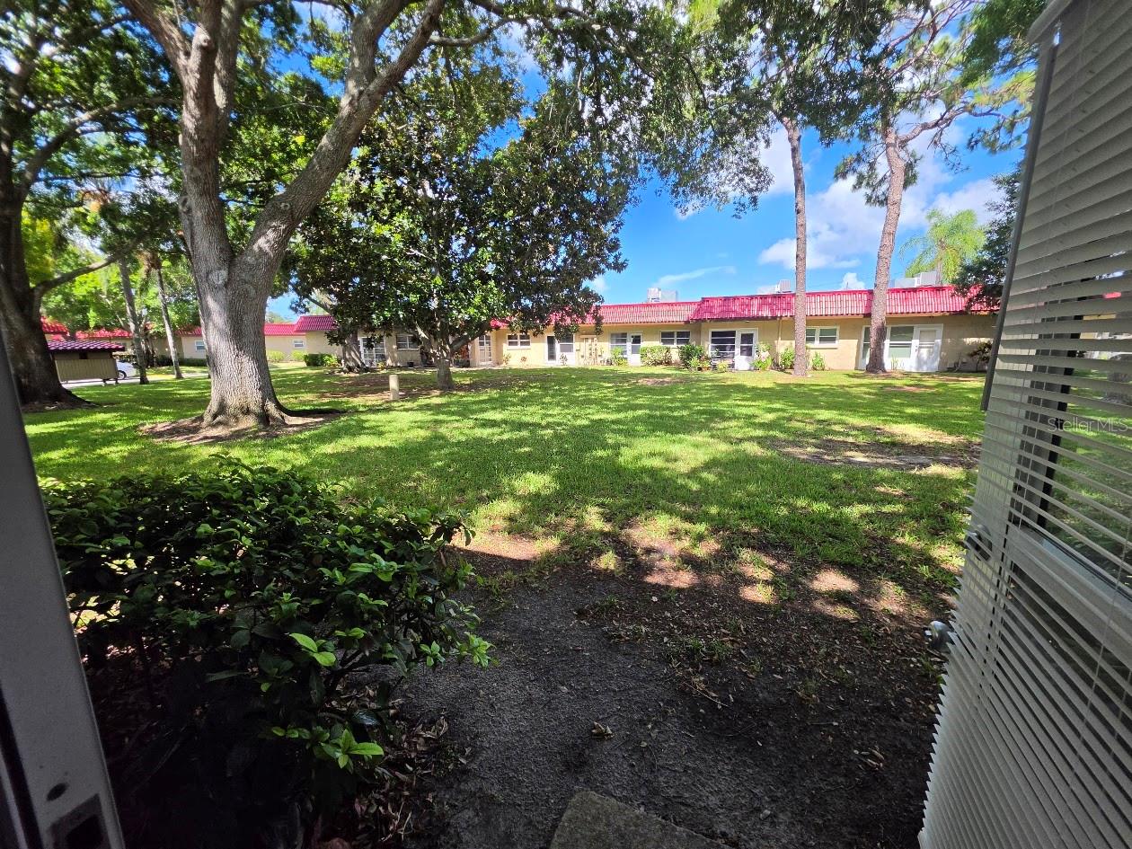Back Courtyard