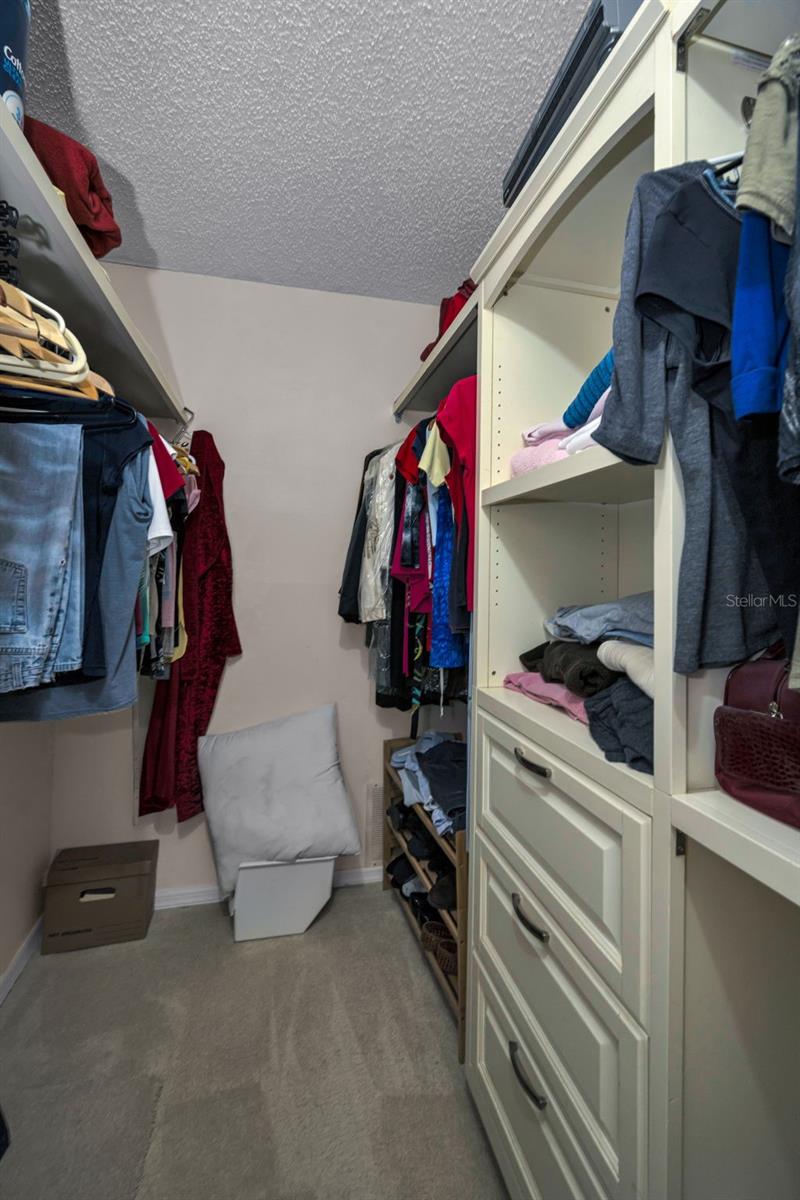 Walk-in closet with selves