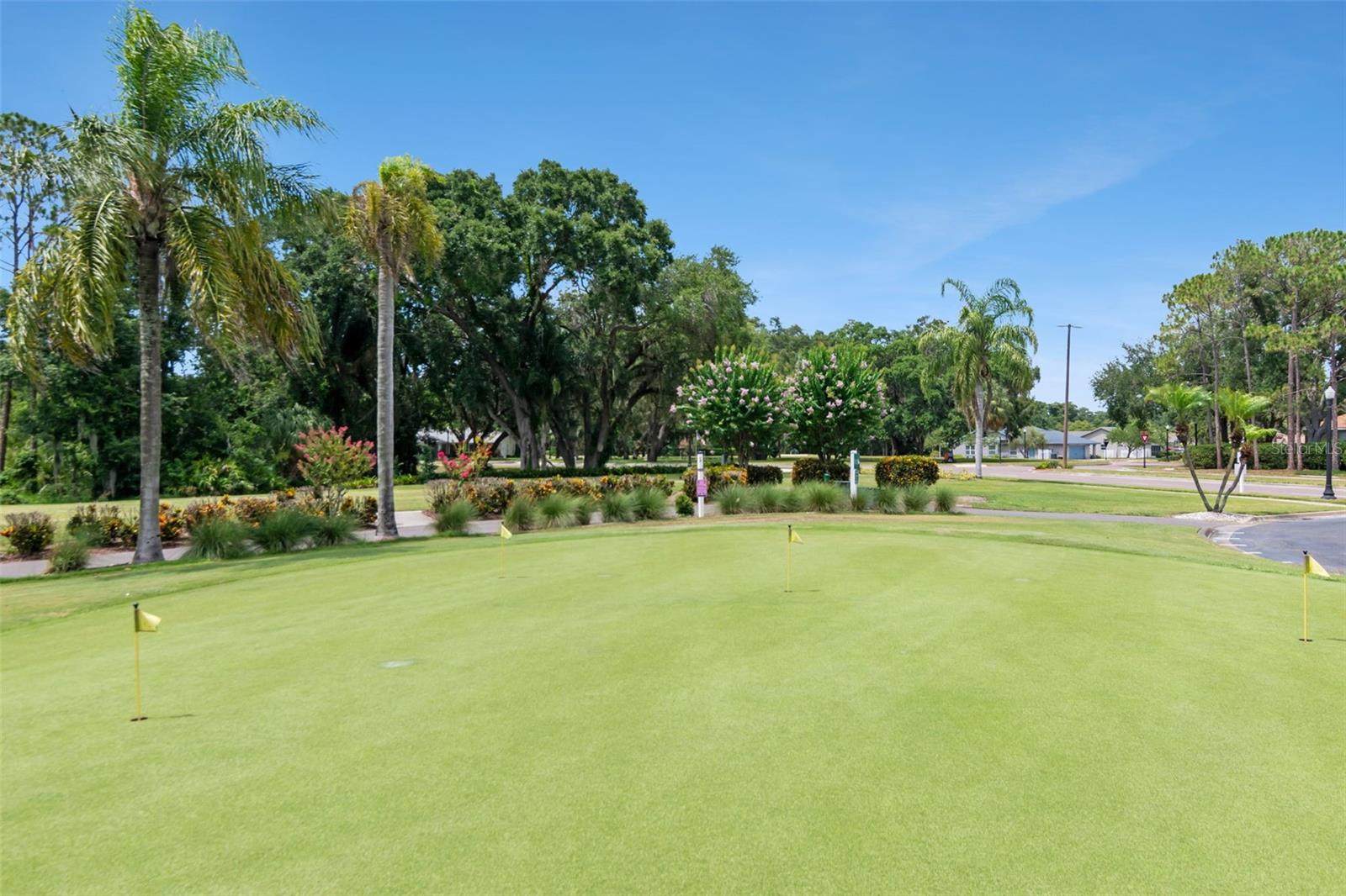 Golf Area