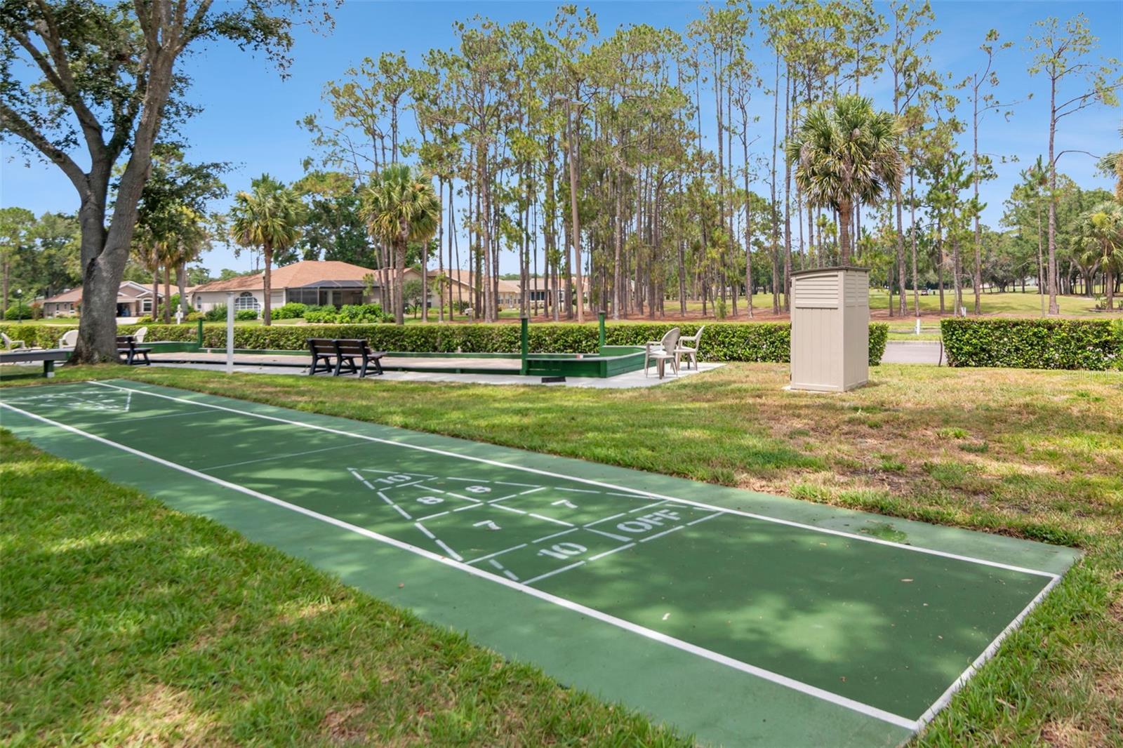 Shuffleboard Area