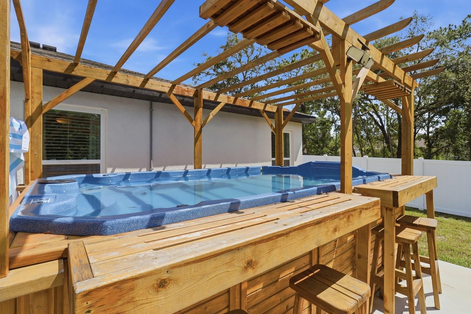 Swim spa