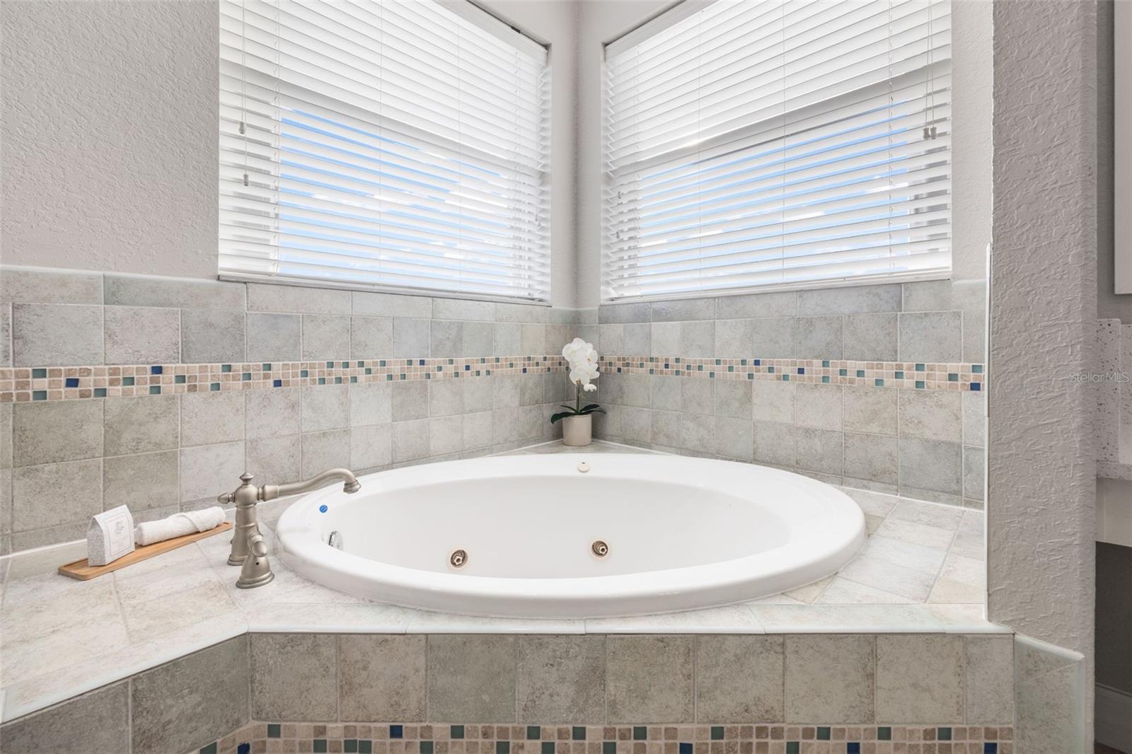 Master bathroom jacuzzi tub.