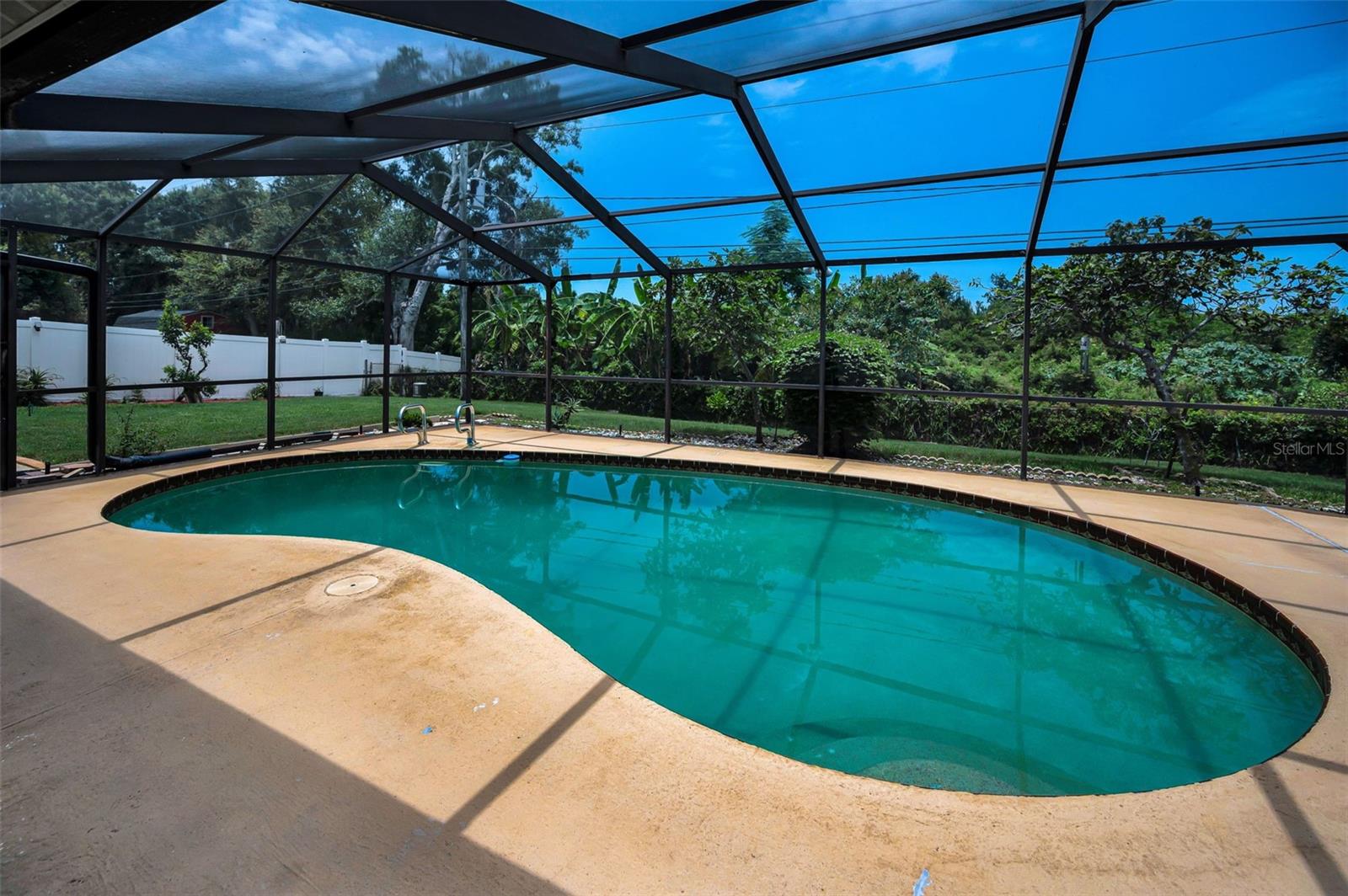 Pool Views