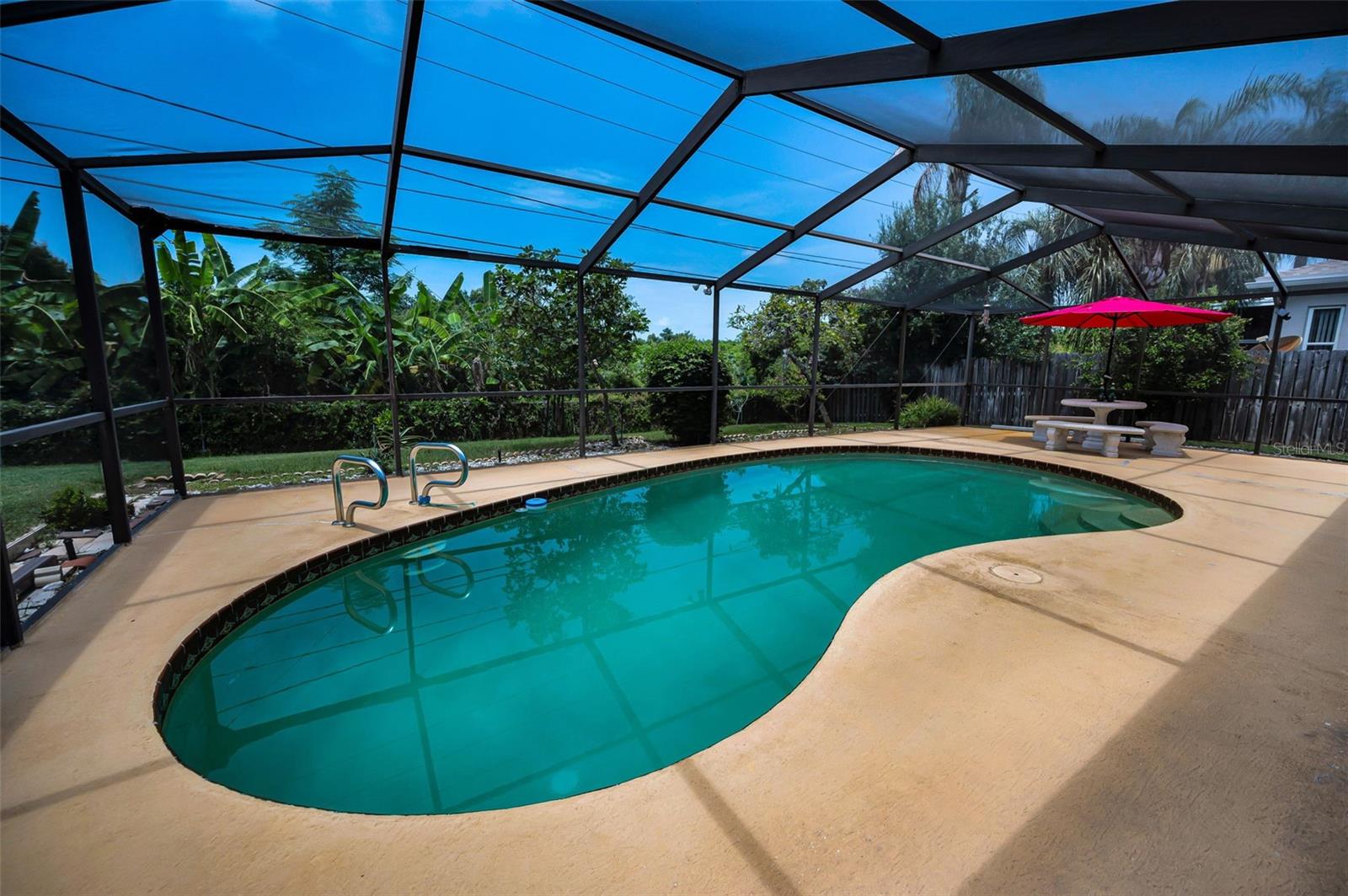 Pool Views