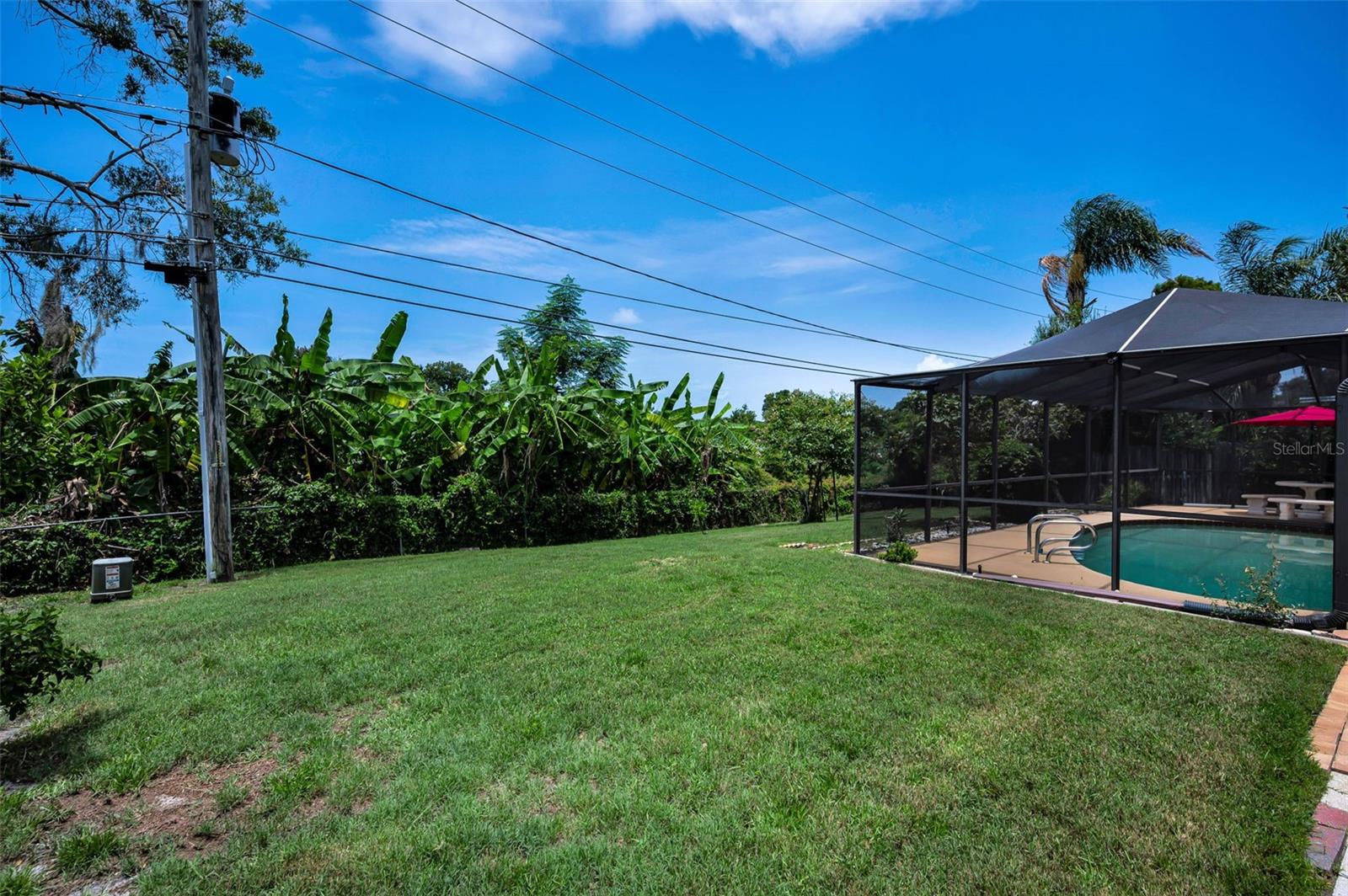 Backyard Privacy
