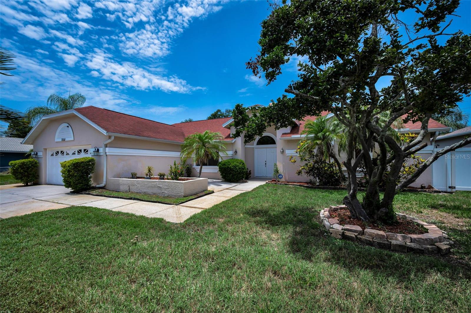 Mature Landscaping