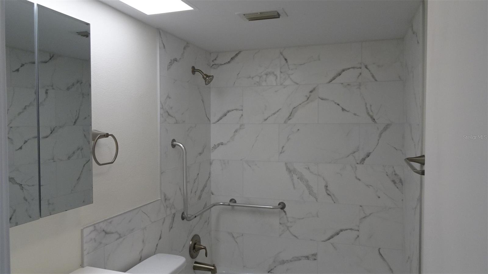 Fancy wall plus grab bars