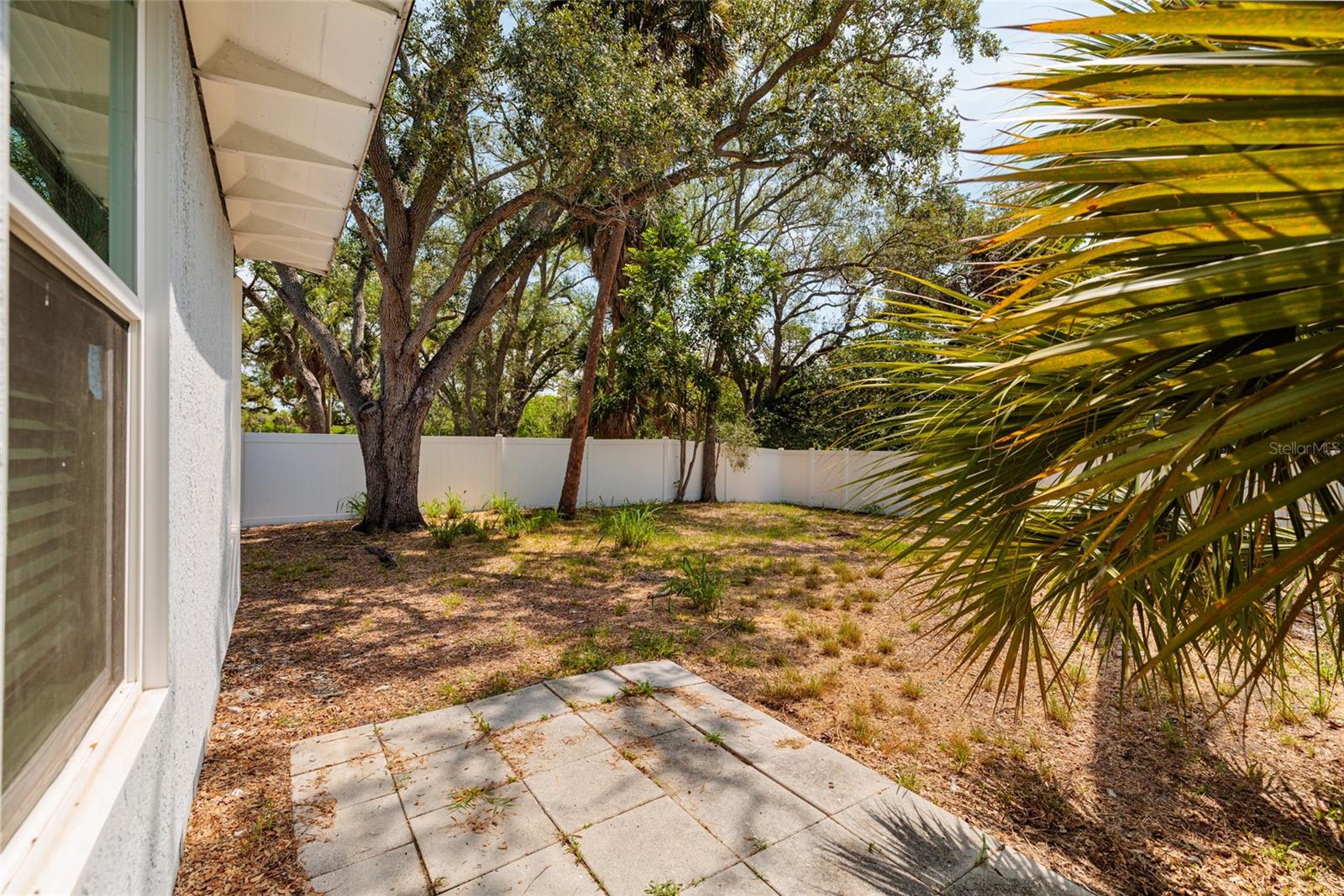 Patio deck, back yard