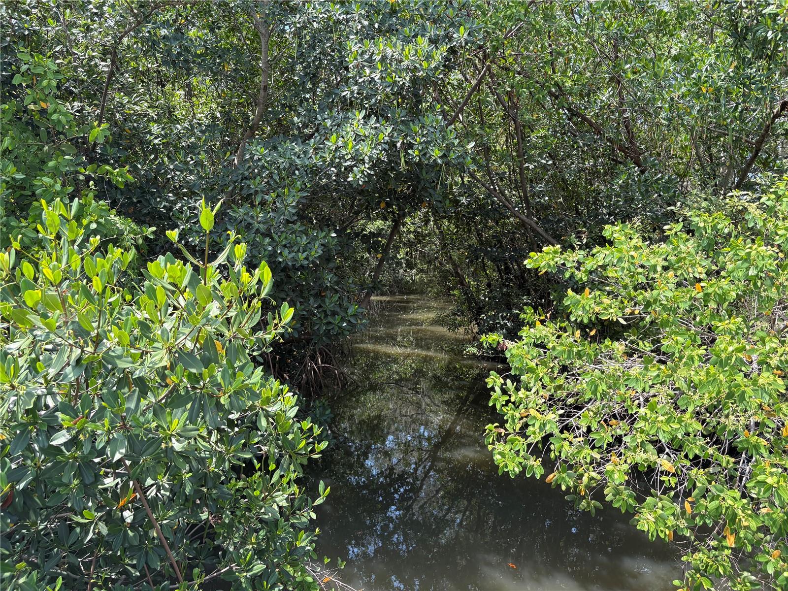 Salt Creek conservation