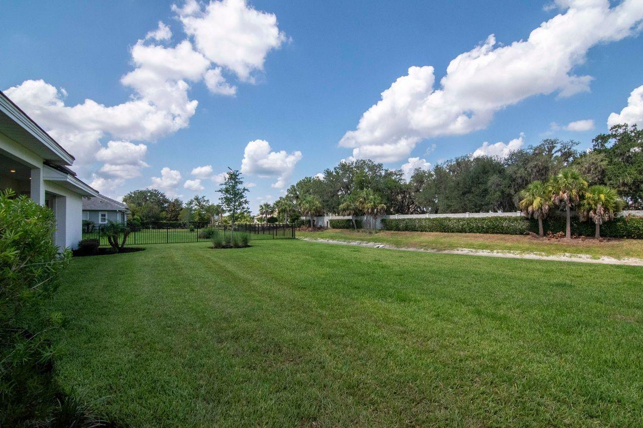 Backyard and Pond View
