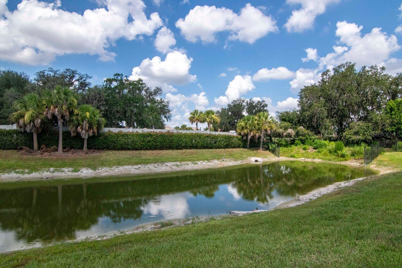 Backyard and Pond View