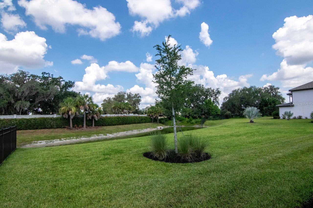 Backyard and Pond View
