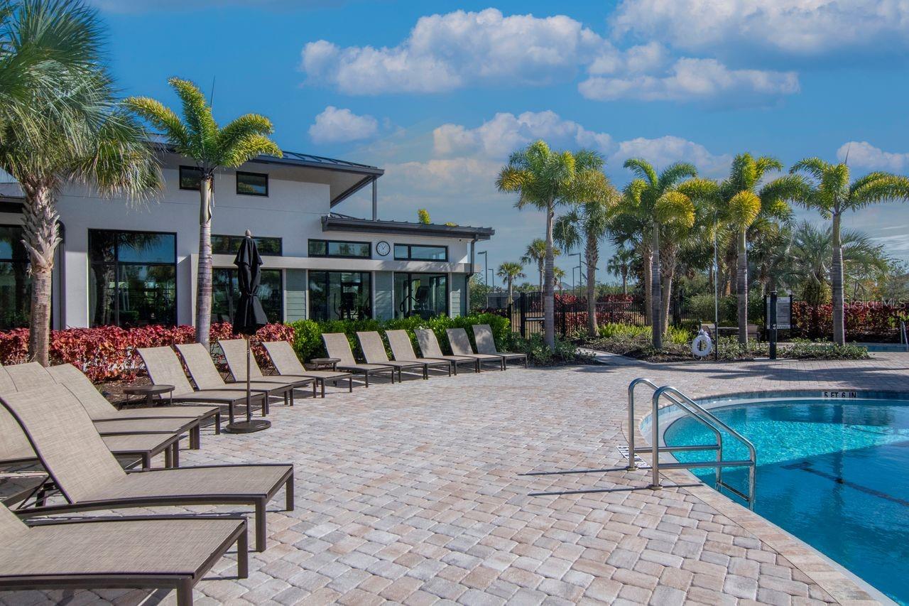 Resort Style Pools - Club House - Secondary Entertainment Areas - Lounge Chairs