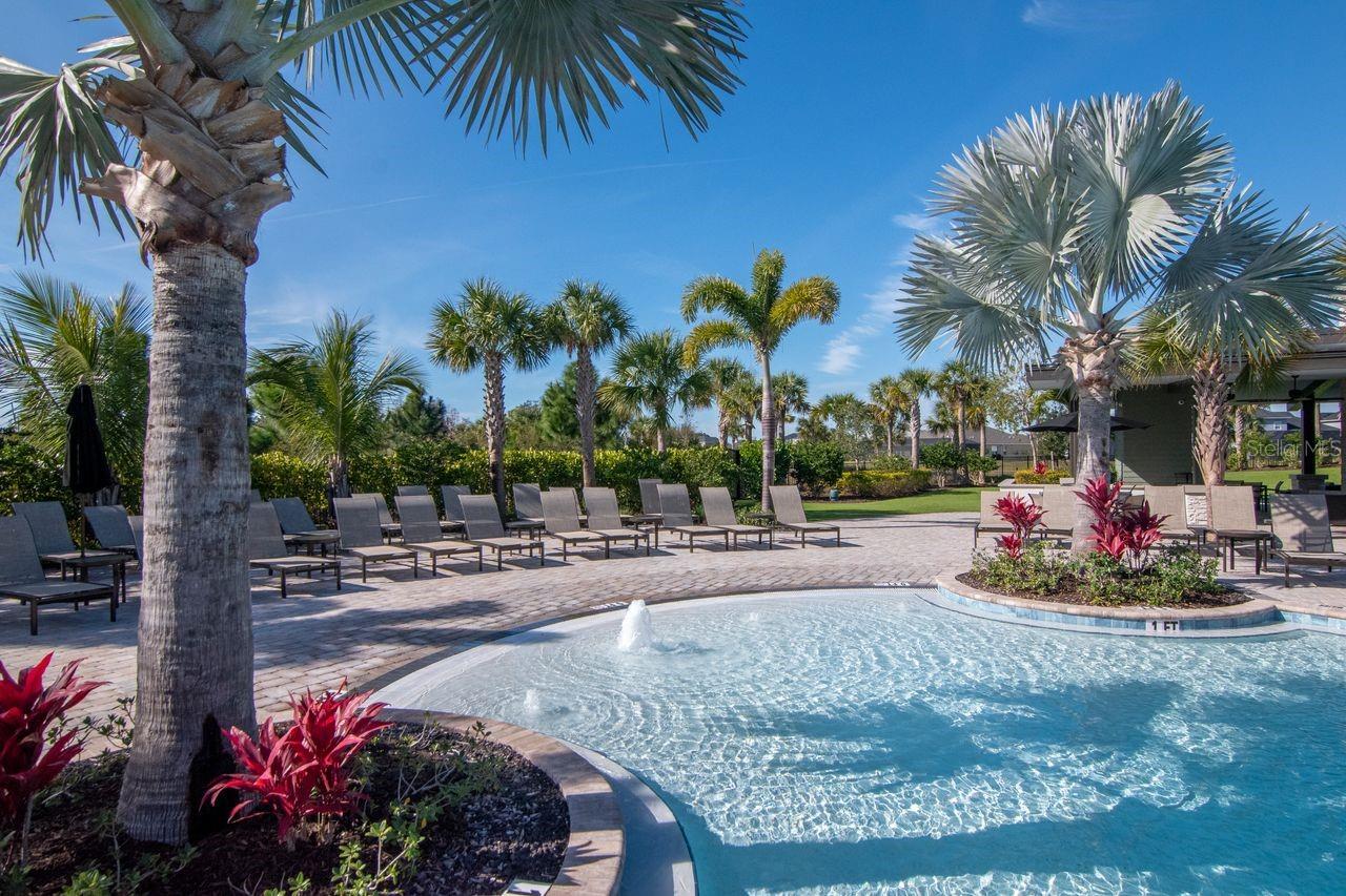 Resort Style Pools - Club House - Secondary Entertainment Areas - Lounge Chairs