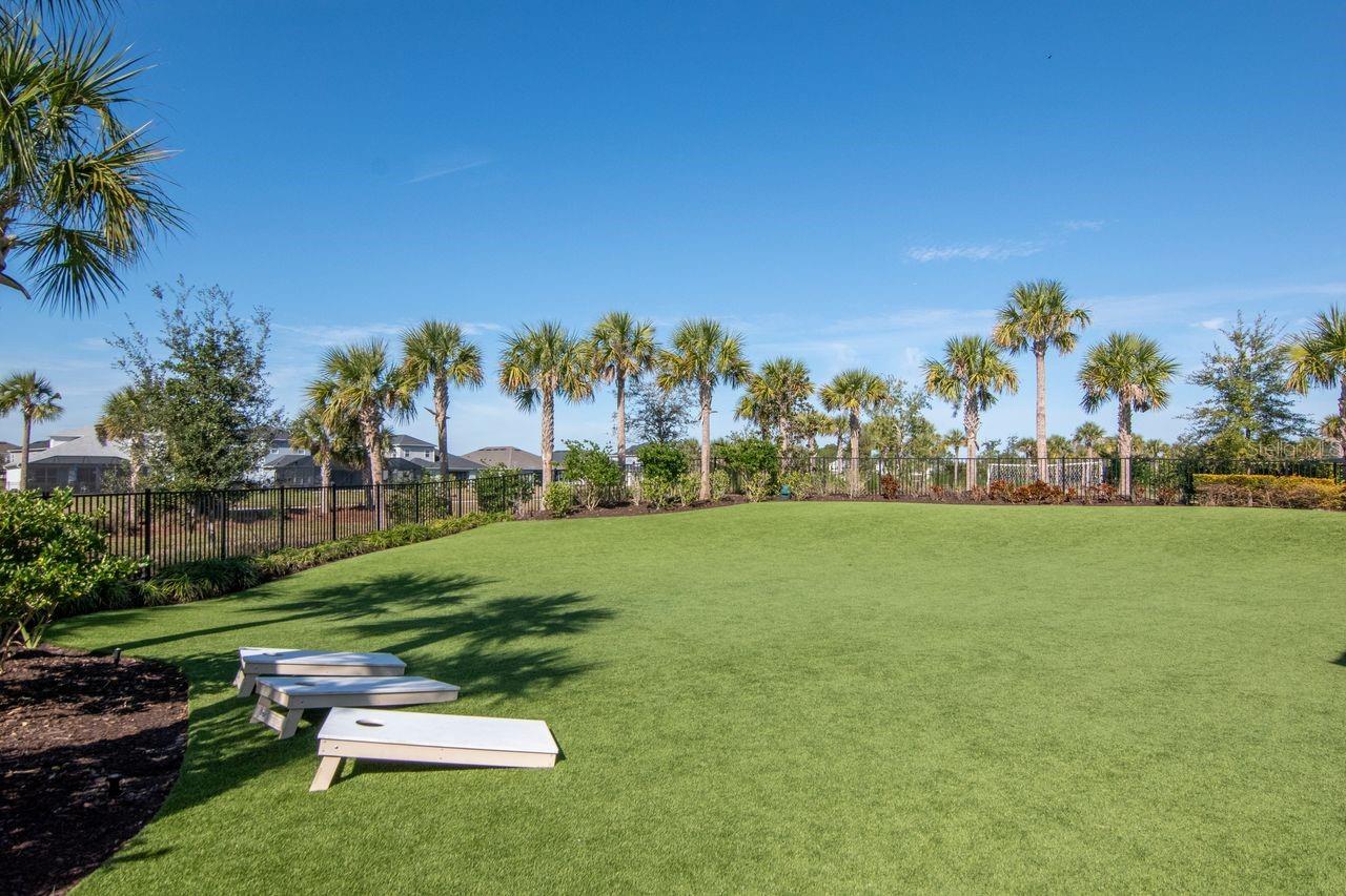Green Space - Cornhole - Activity Area