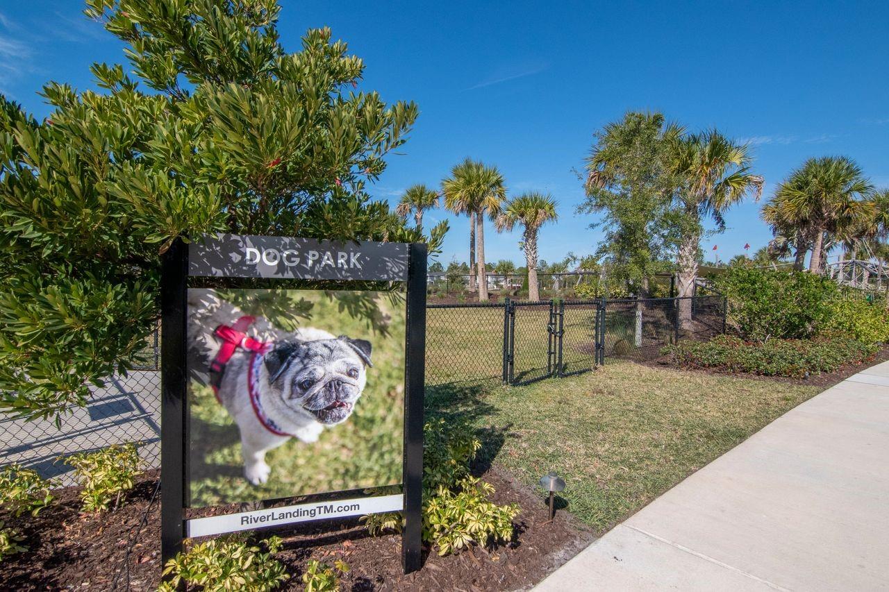 Dog Park