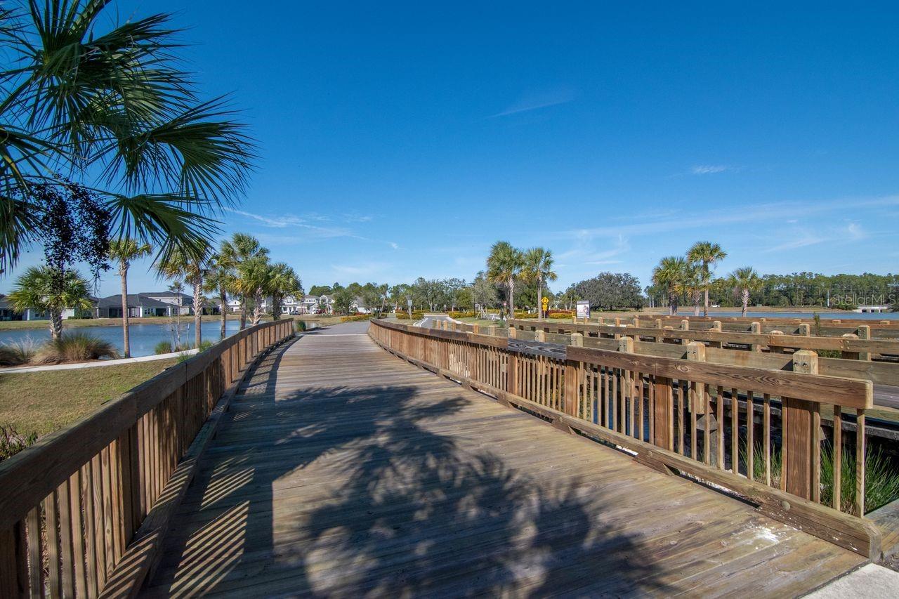 Bridge and Walking Area
