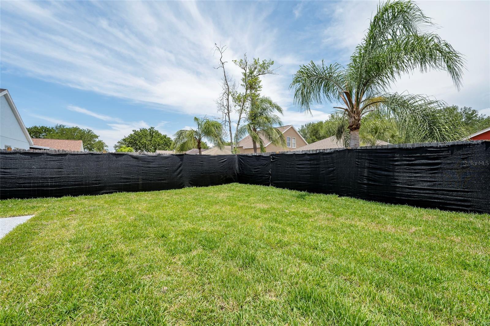 Back Yard View