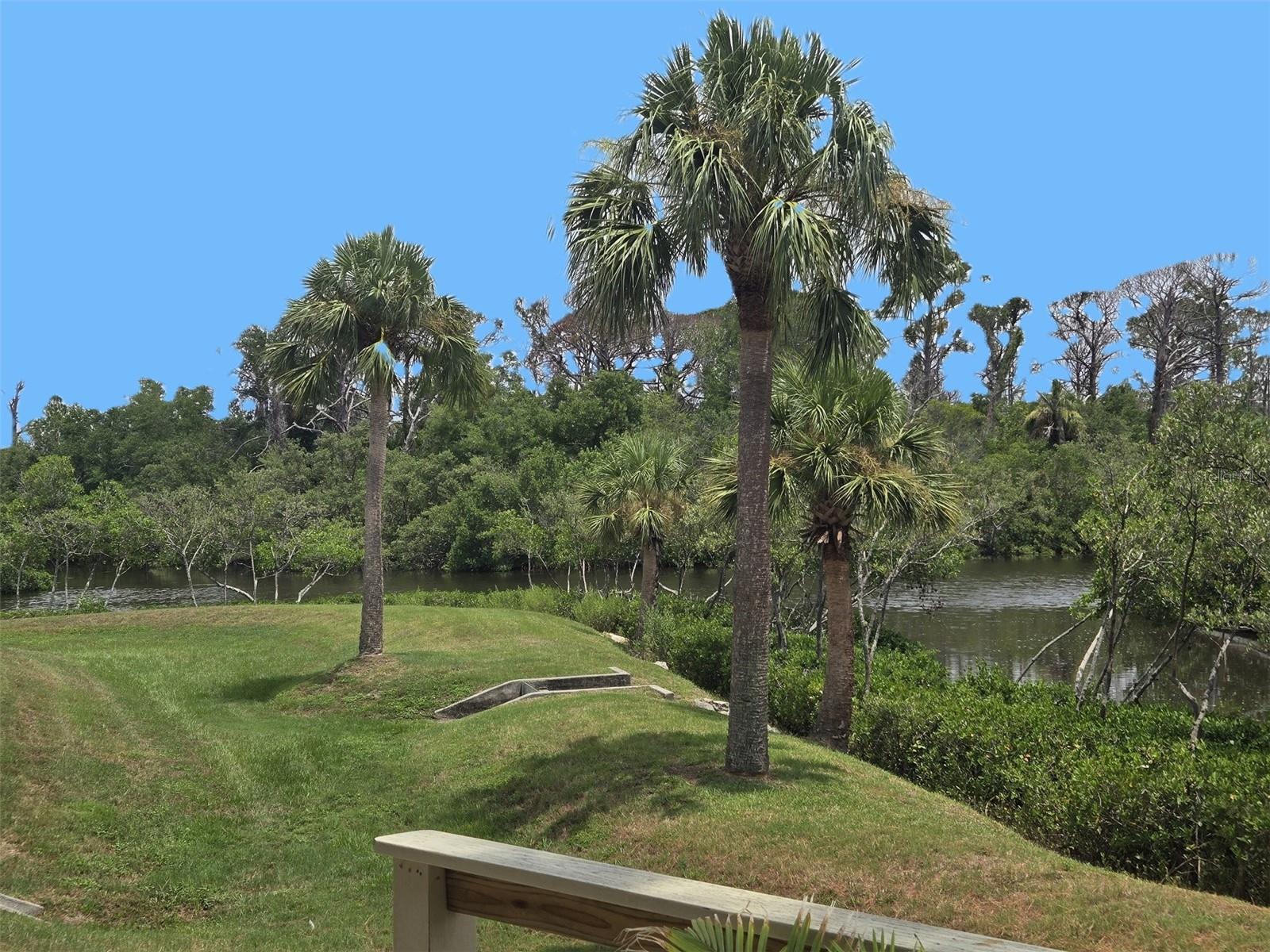 Back yard deck view