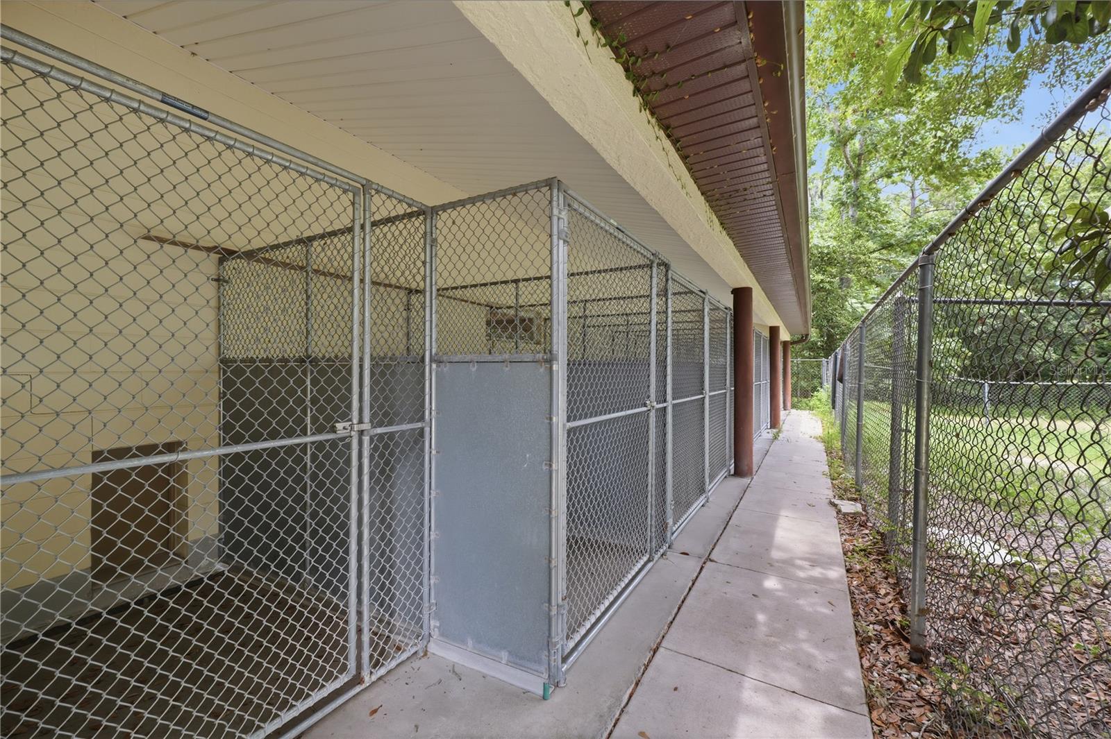 Chain-link Kennel Runs