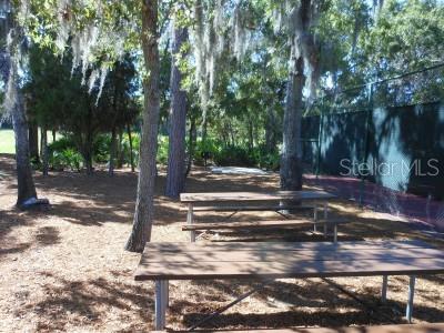 Picnics & BBQ