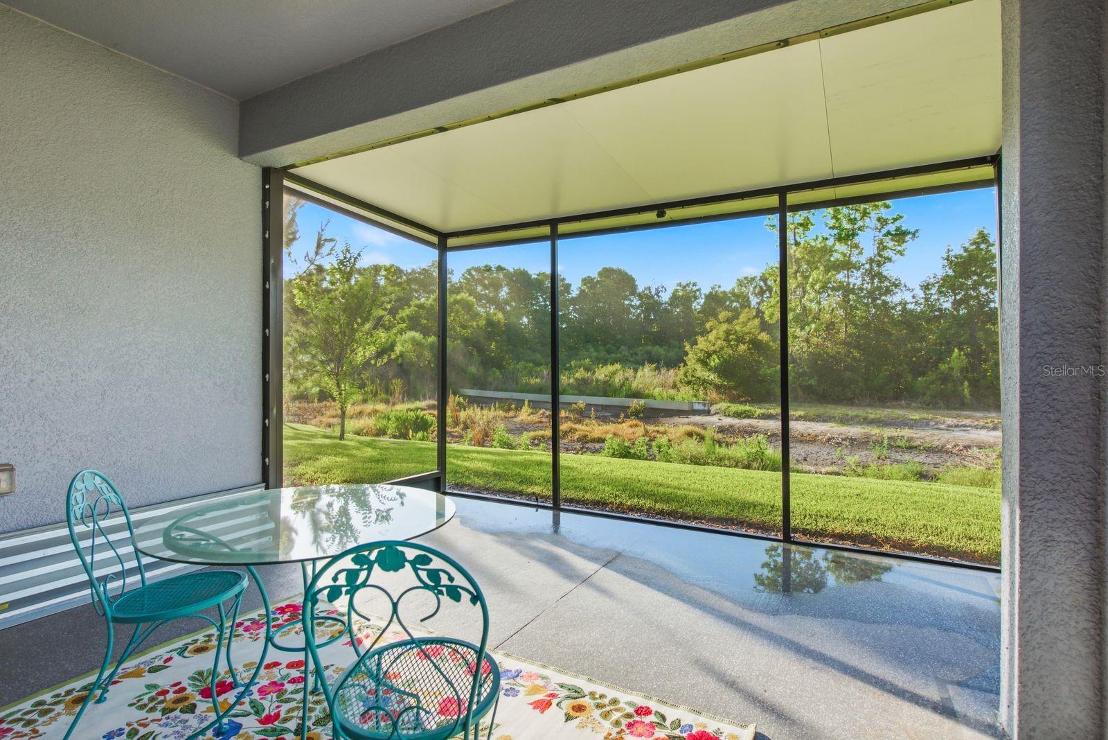 Screened Porch- conservation view