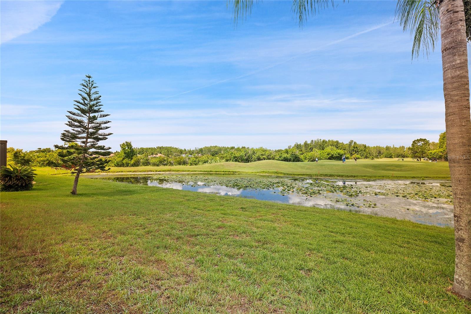 BACKYARD WITH VIEW OF GOLF COURSE