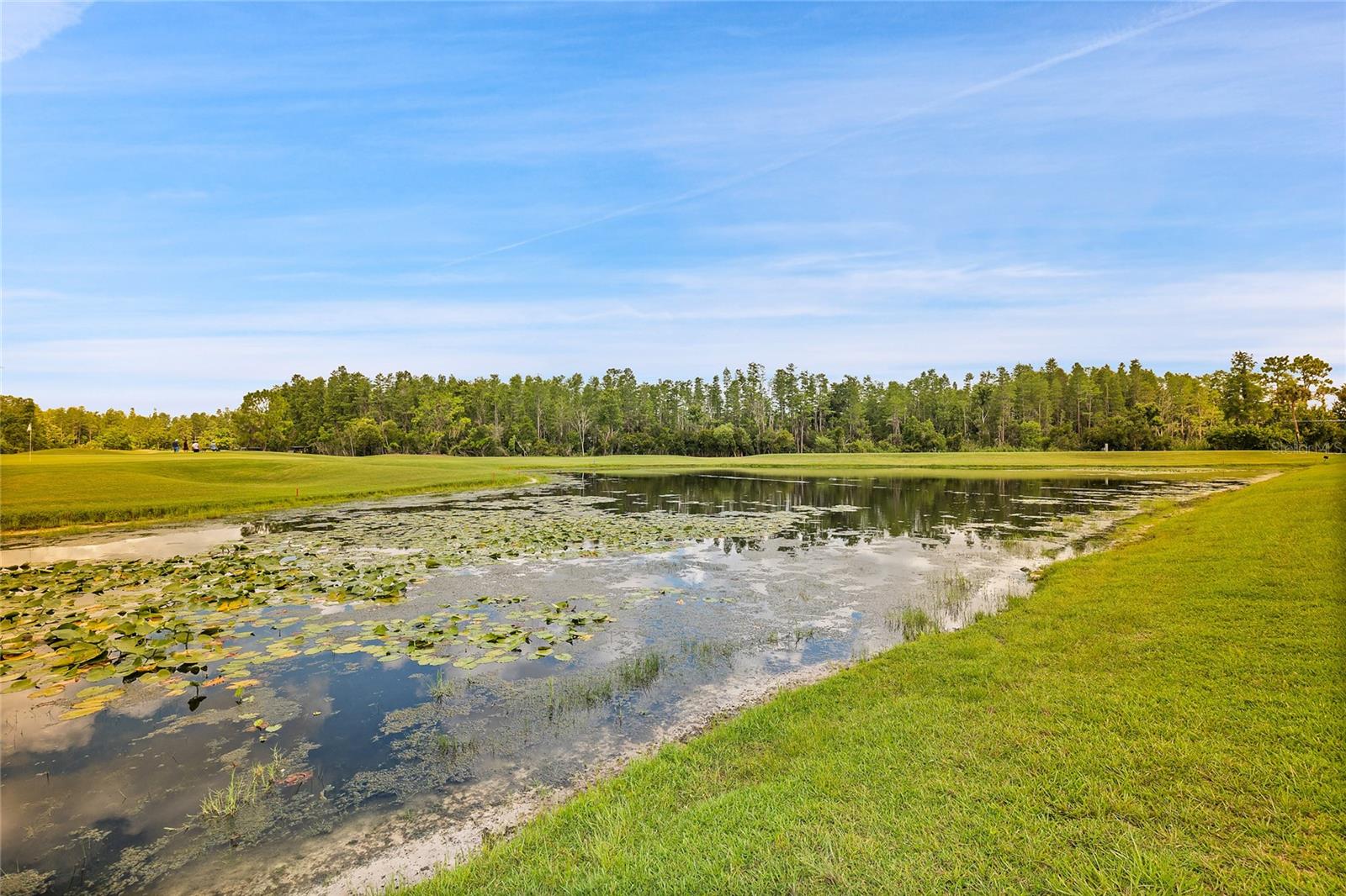 BACK YARD VIEW OF WATER AND GOLF COURSE