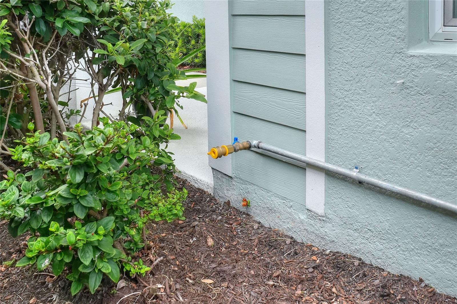 dedicated gas hookup for generator