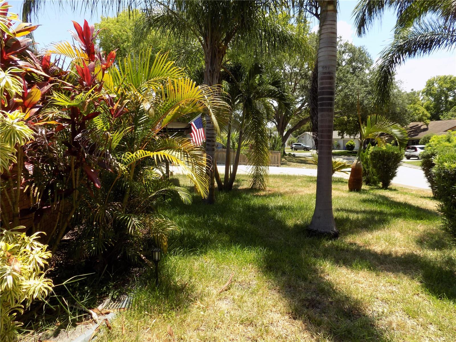 Front Mature Landscaping