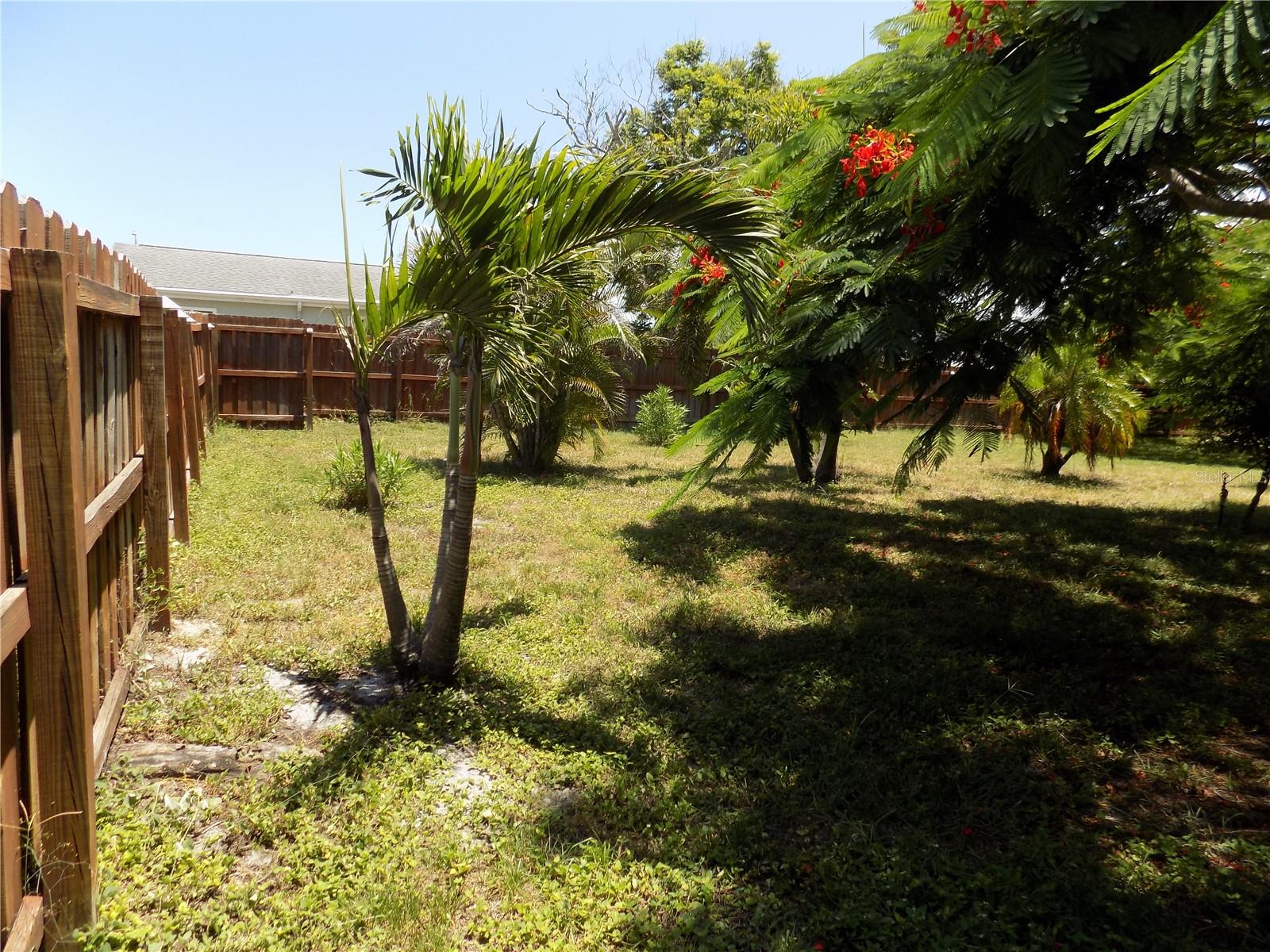Rear Fence Line