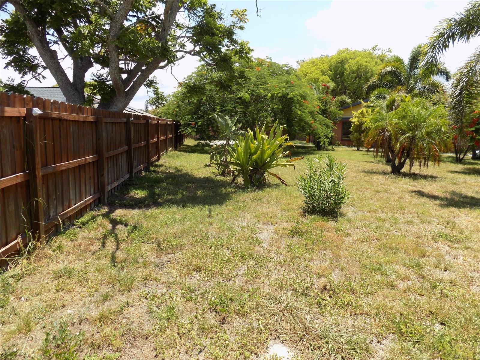 Rear Fence Line 3