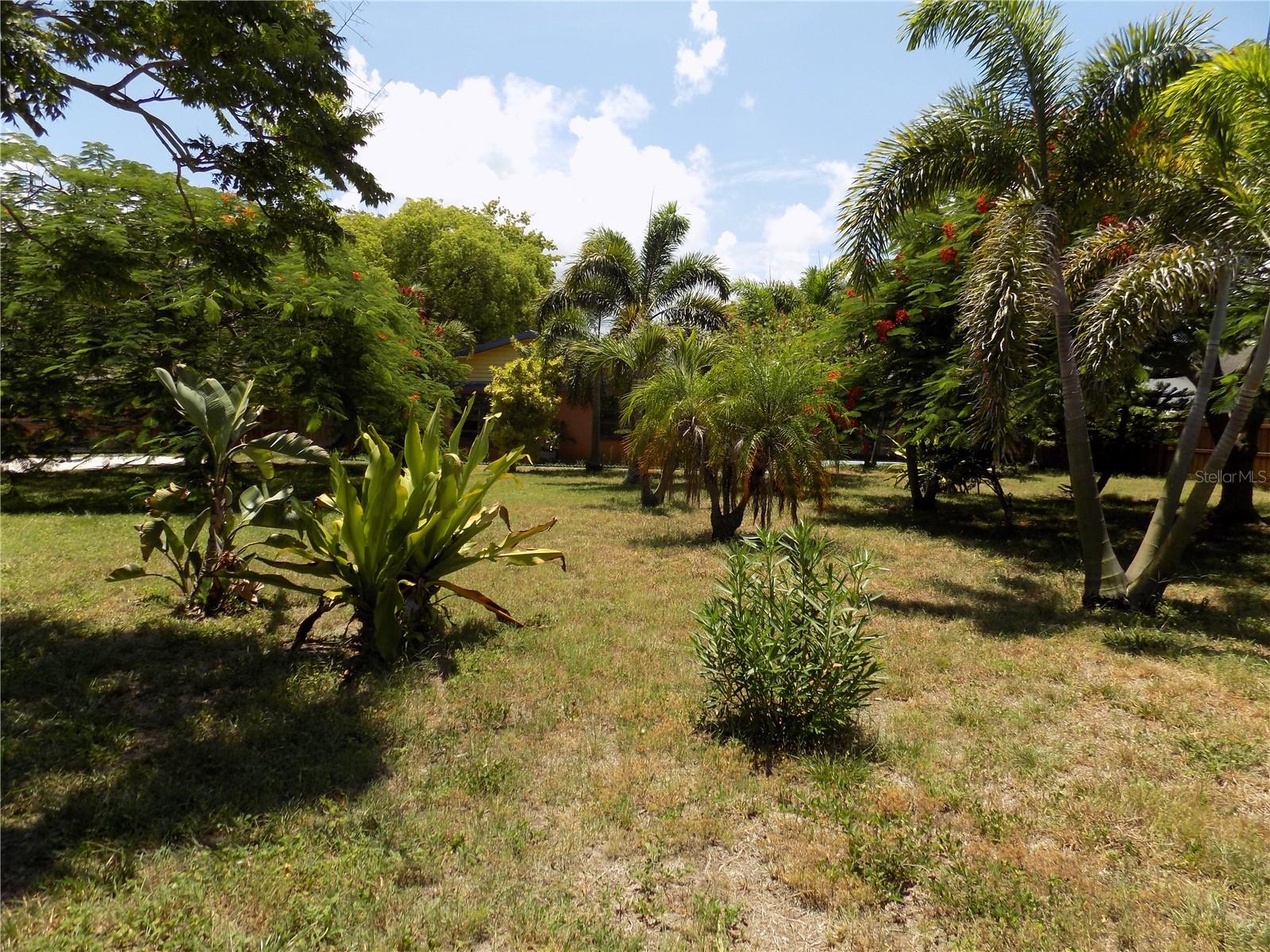 Private Rear Yard