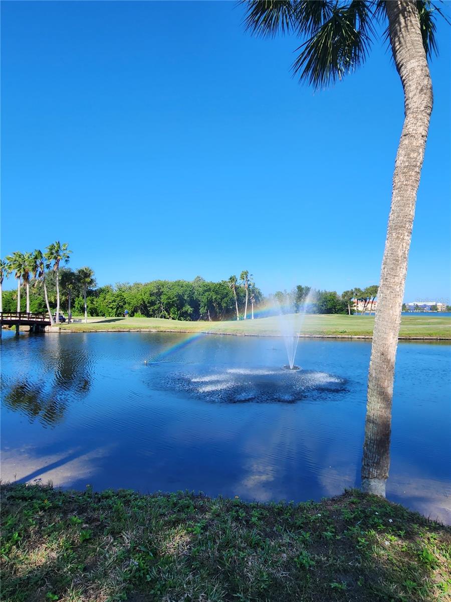 view from Bayview Grille
