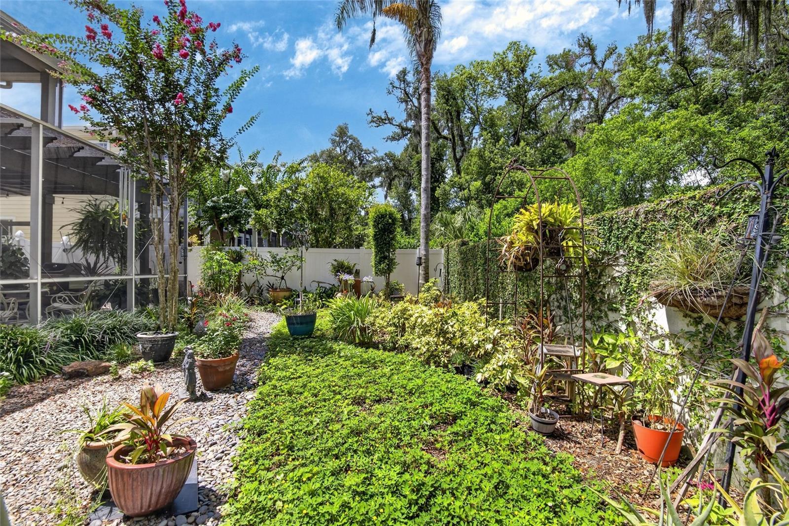 Backyard