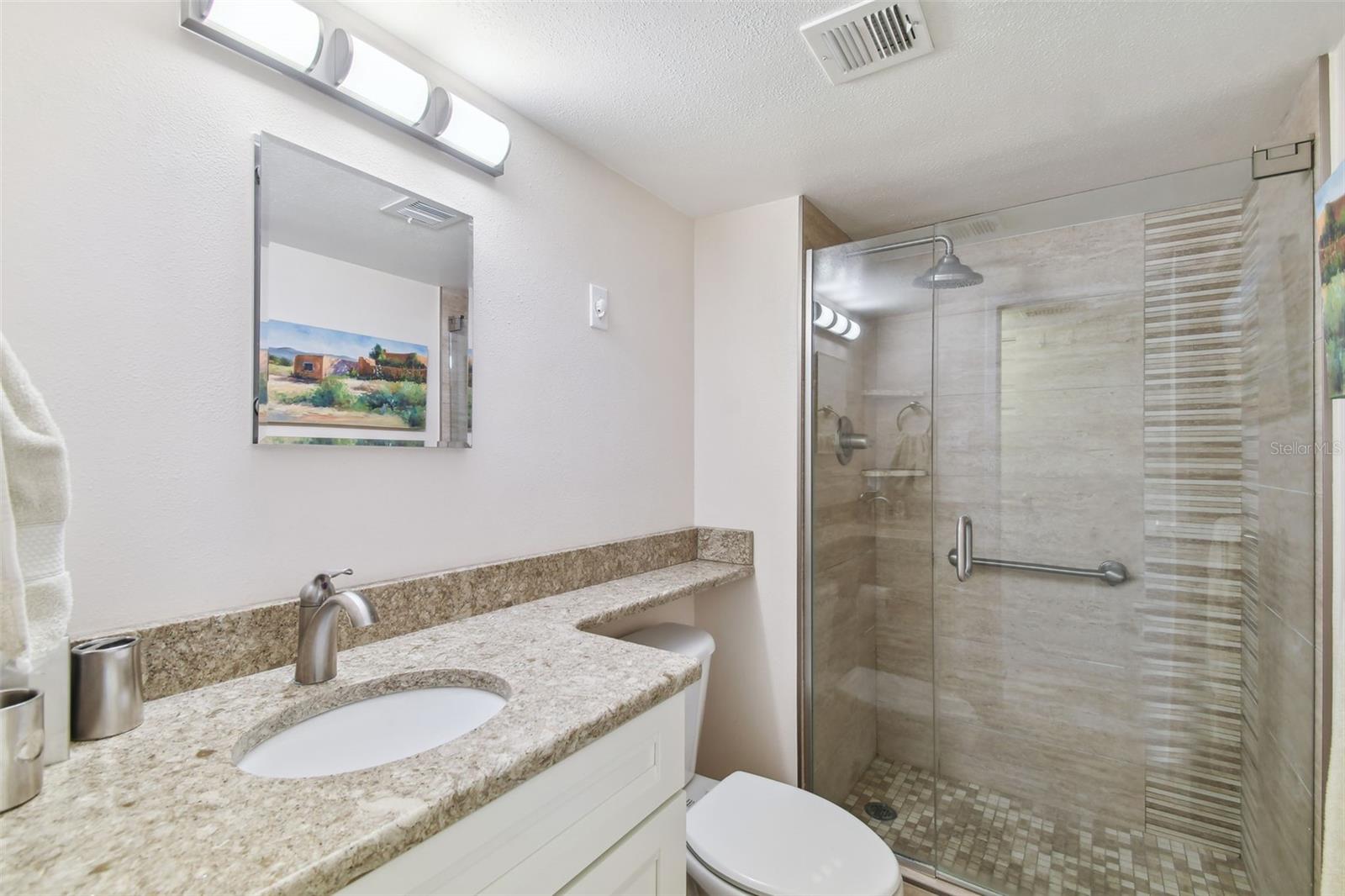 Guest bathroom