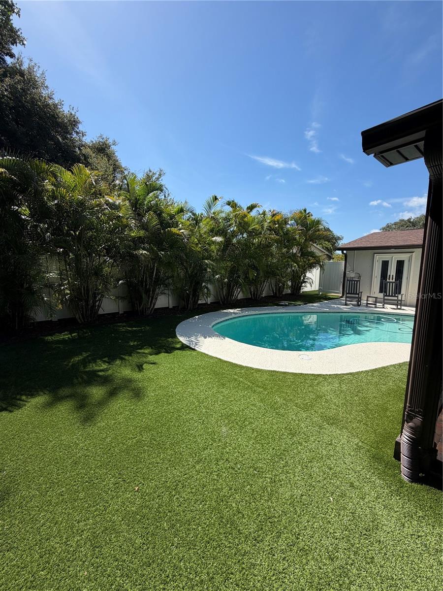 rear yard 4