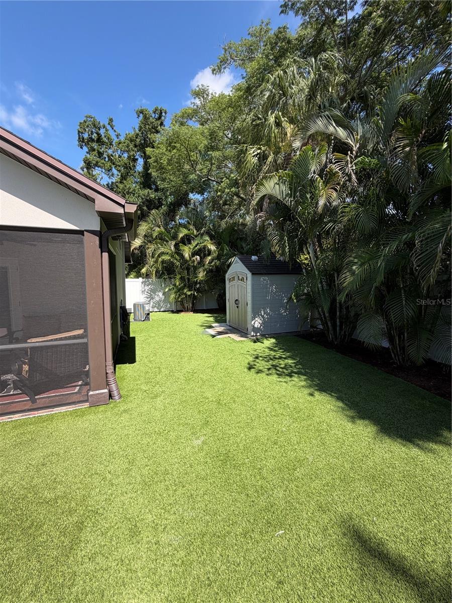 rear yard with shed