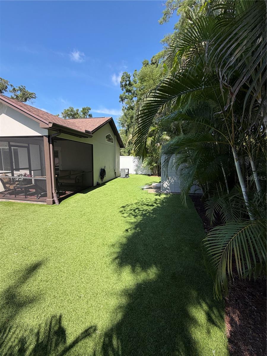 rear yard 3
