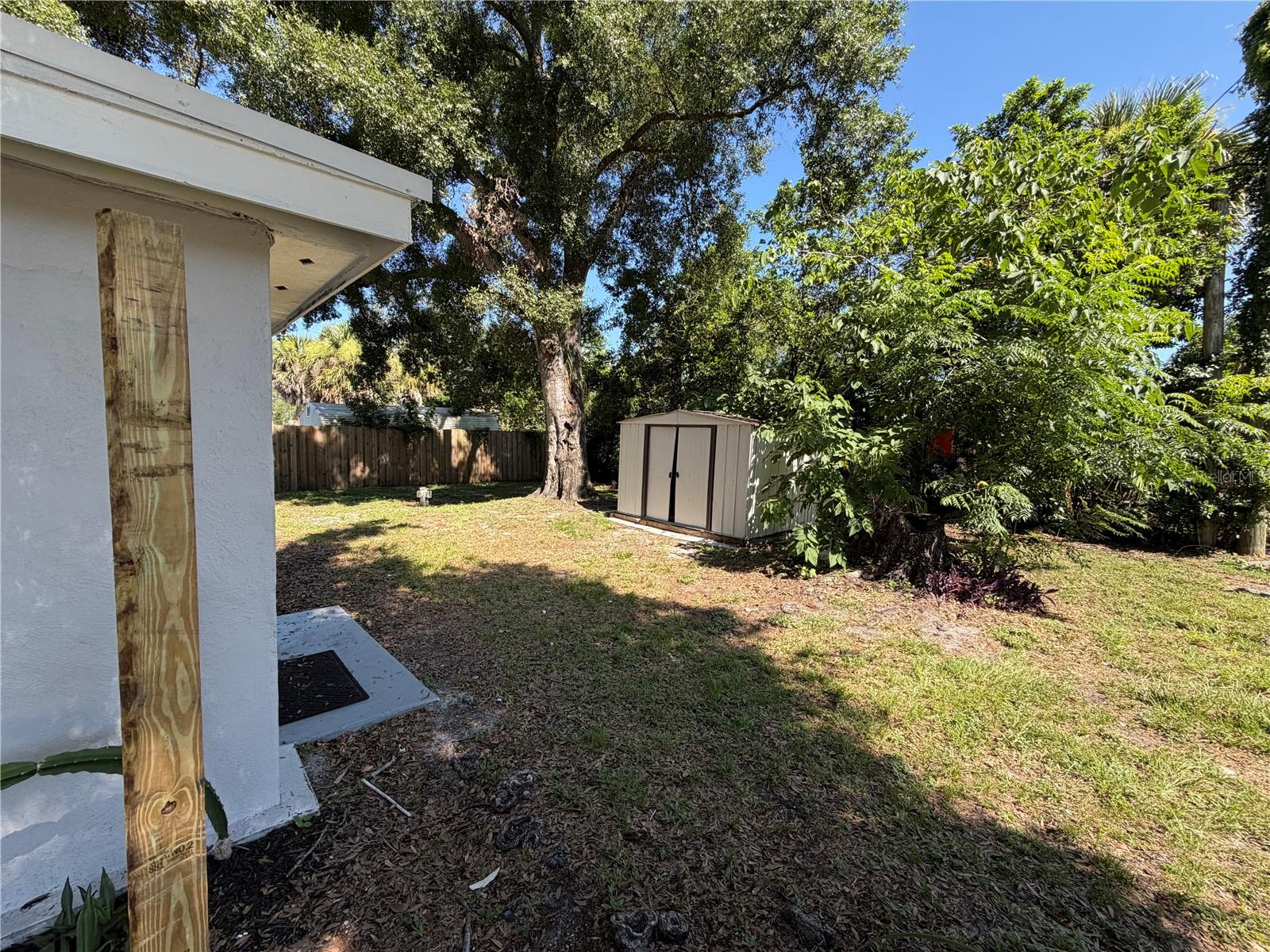 Side Yard