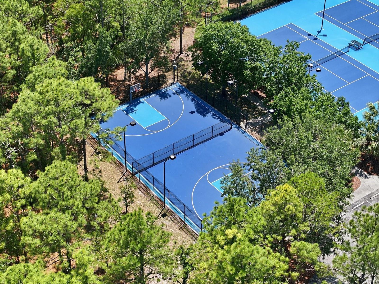 Basketball and Courts