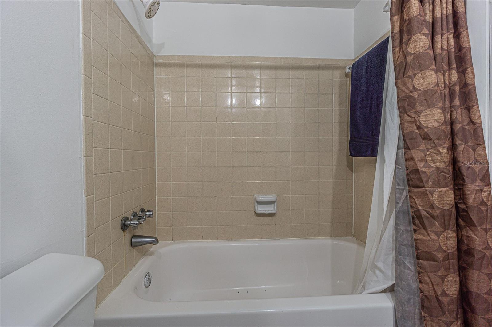 Tub/ Shower bath 2