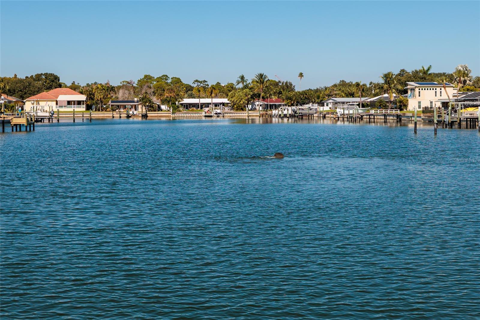 Waterfront View