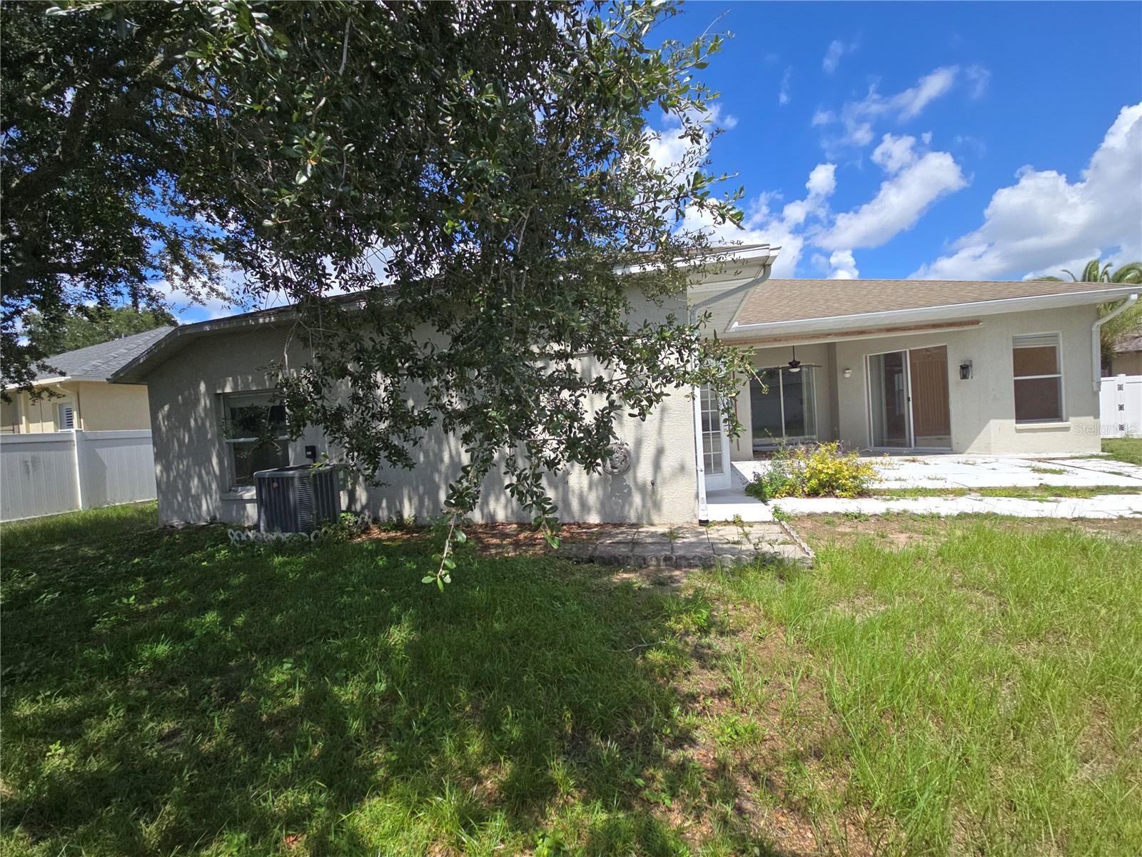 Backyard Rear