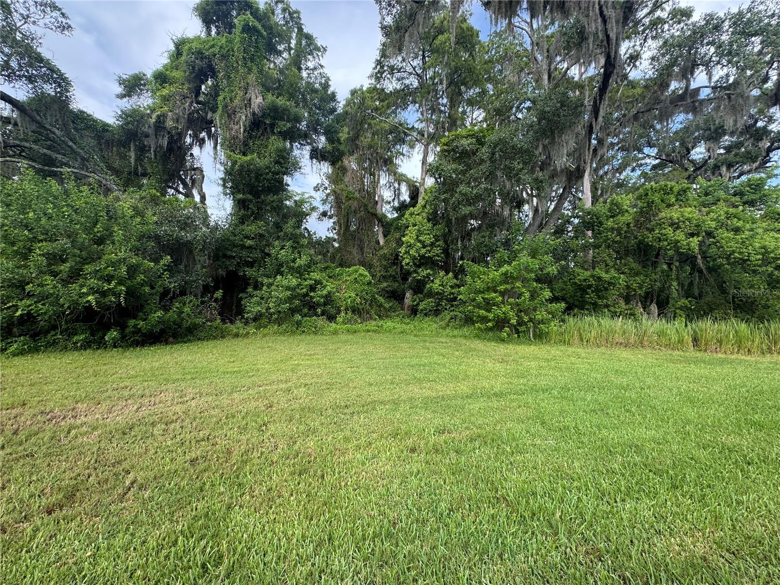 G5114539