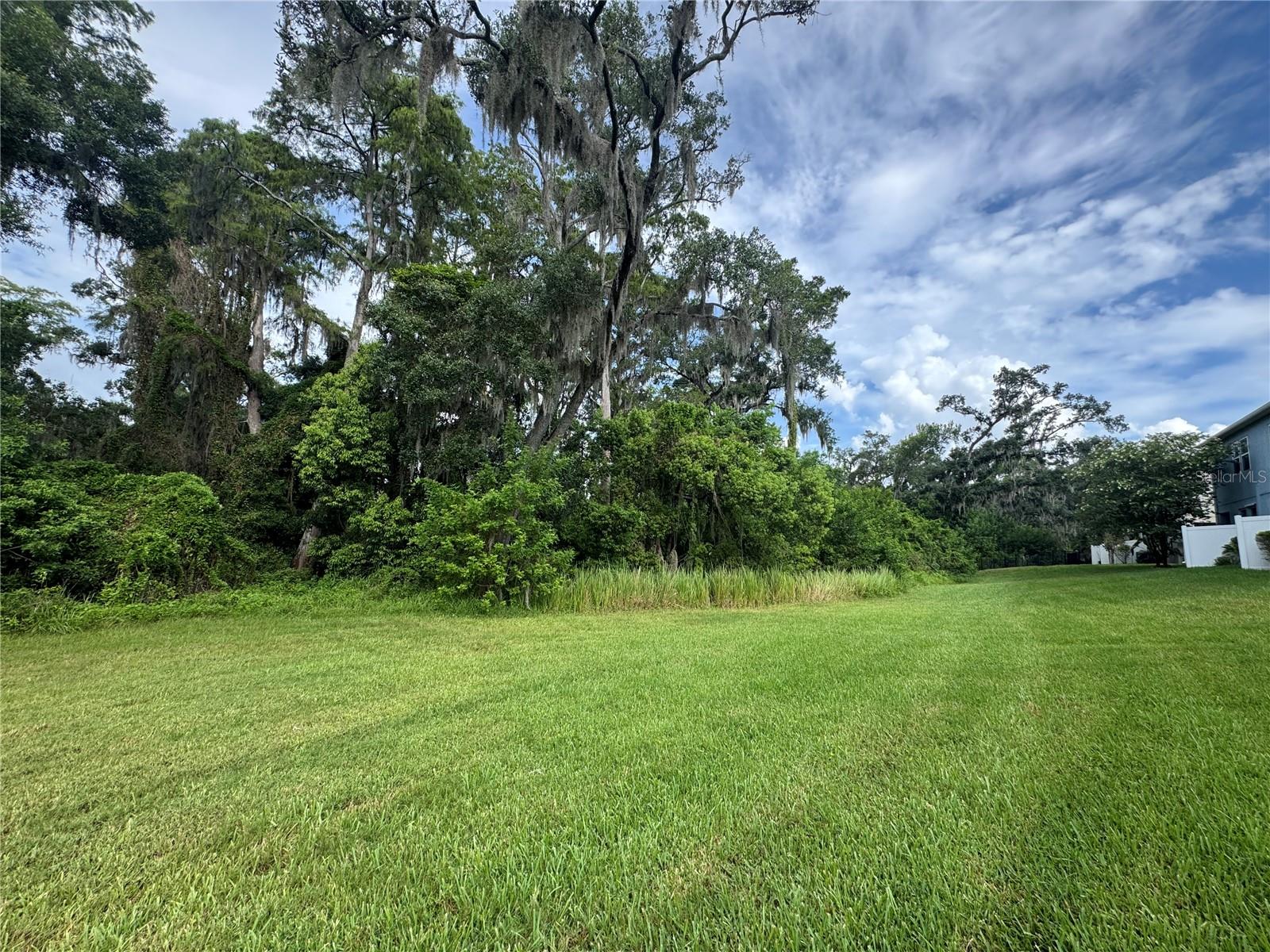 G5114539