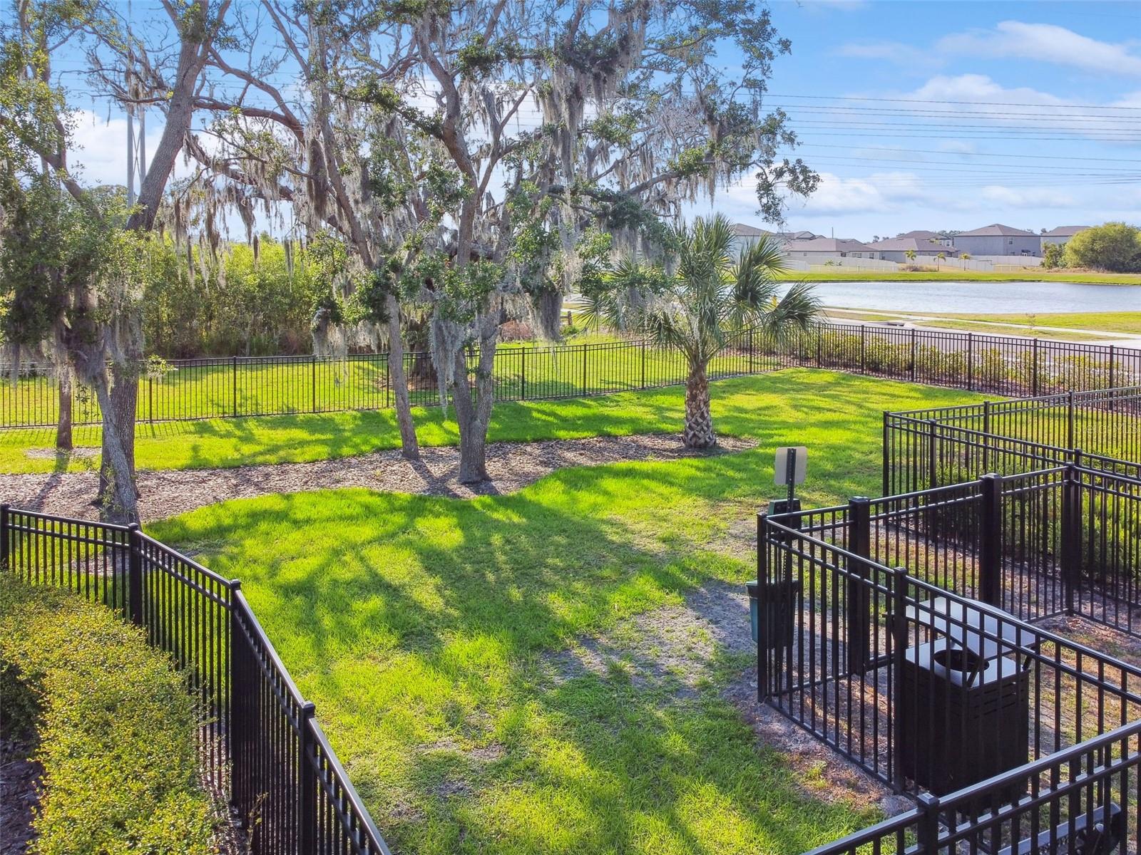 Dog Park