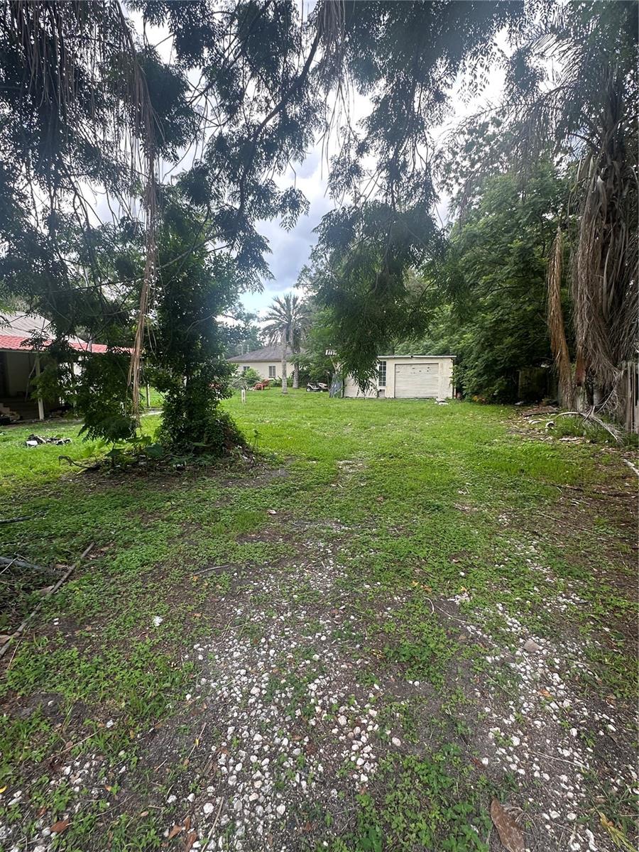 W7887266