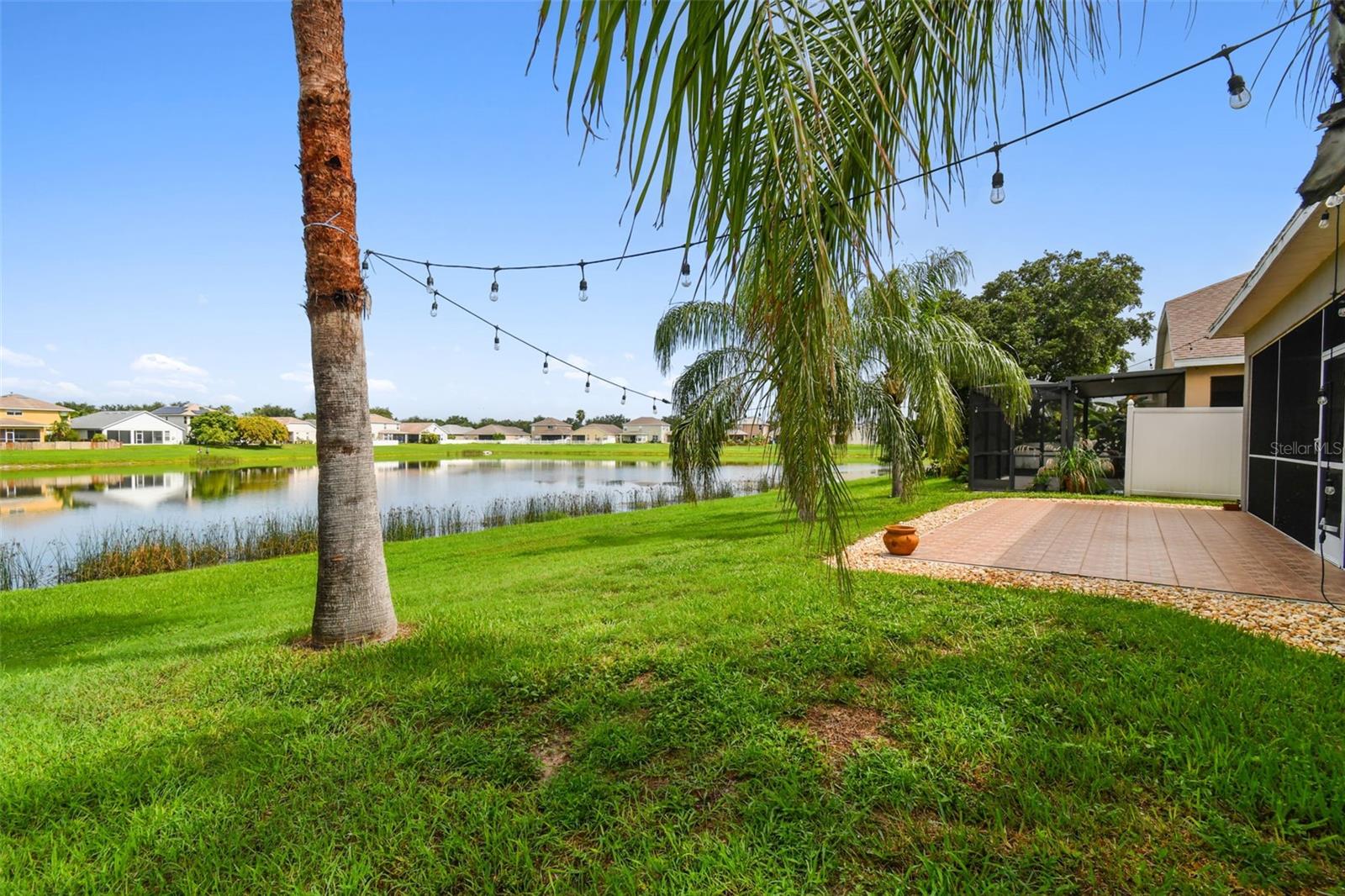 Pond Views