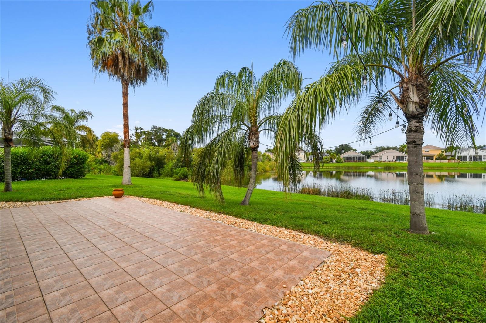 Pond Views